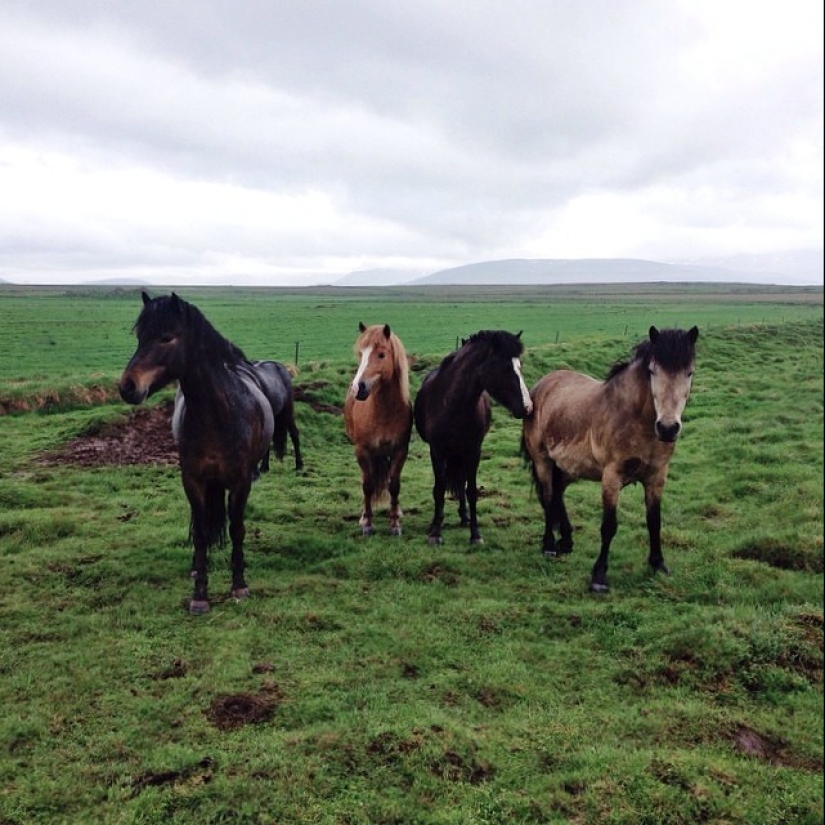 Iceland is a land of extreme contrasts Iceland is a land of extreme contrasts