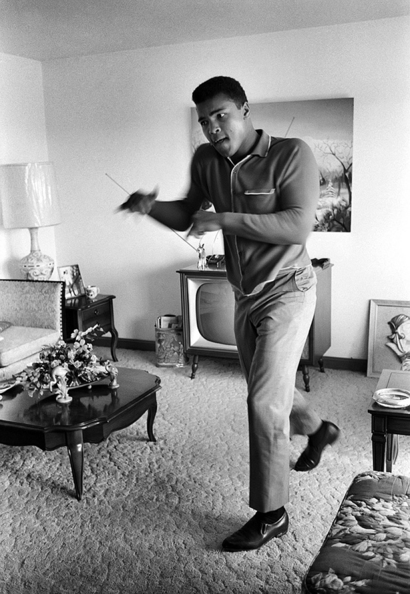 Icons of Hollywood classics of the 70s and other photos by Steve Shapiro Icons of Hollywood classics of the 70s and other photos by Steve Shapiro