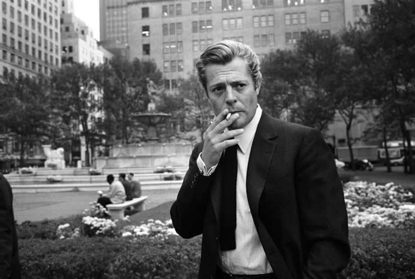 Icons of Hollywood classics of the 70s and other photos by Steve Shapiro Icons of Hollywood classics of the 70s and other photos by Steve Shapiro