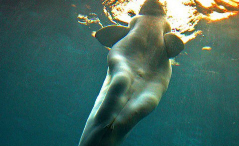 Illusion or anatomical feature: why the whales saw a human foot