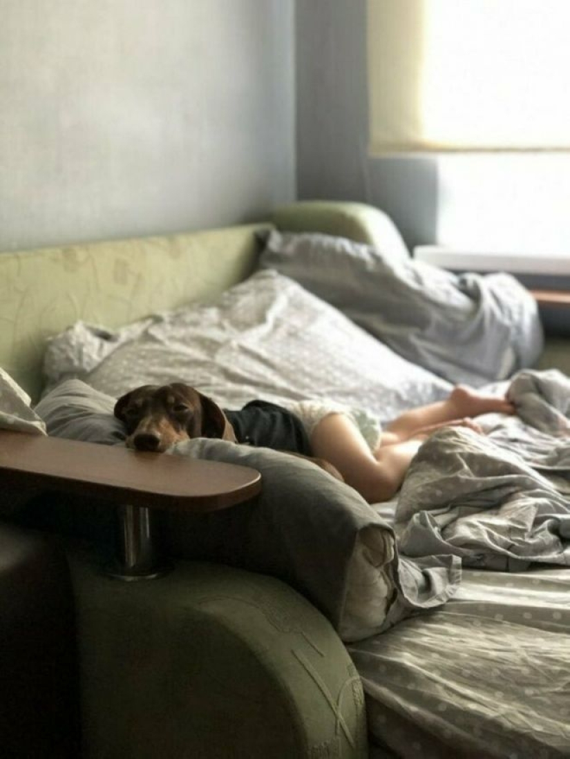 Imaginación, ¿qué estás haciendo?! 22 fotos que necesitas mirar varias veces