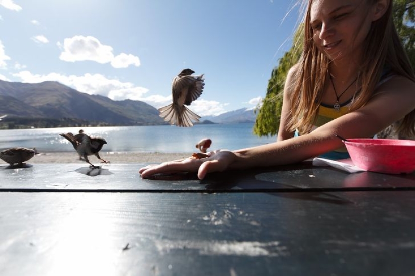 Imagination, what are you doing?! 22 photos that you need to look at several times