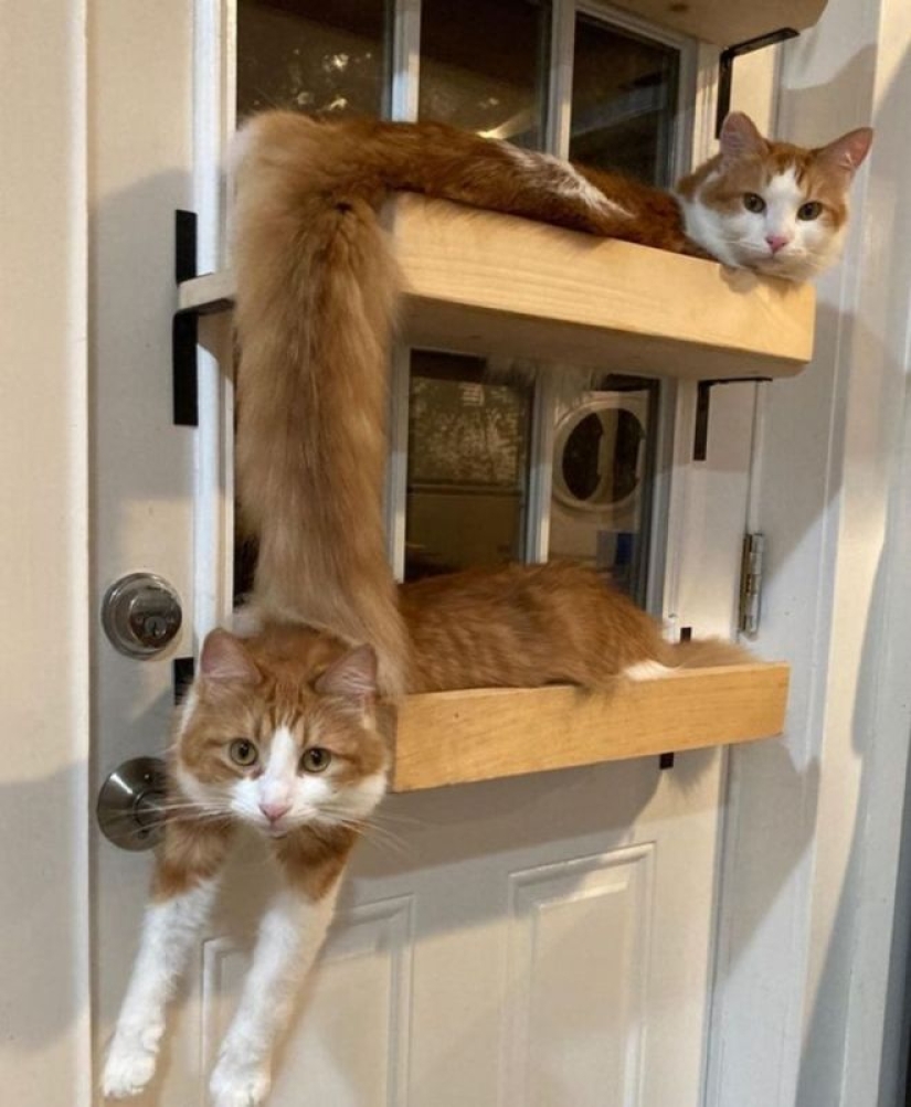 Imagination, what are you doing?! 22 photos that you need to look at several times