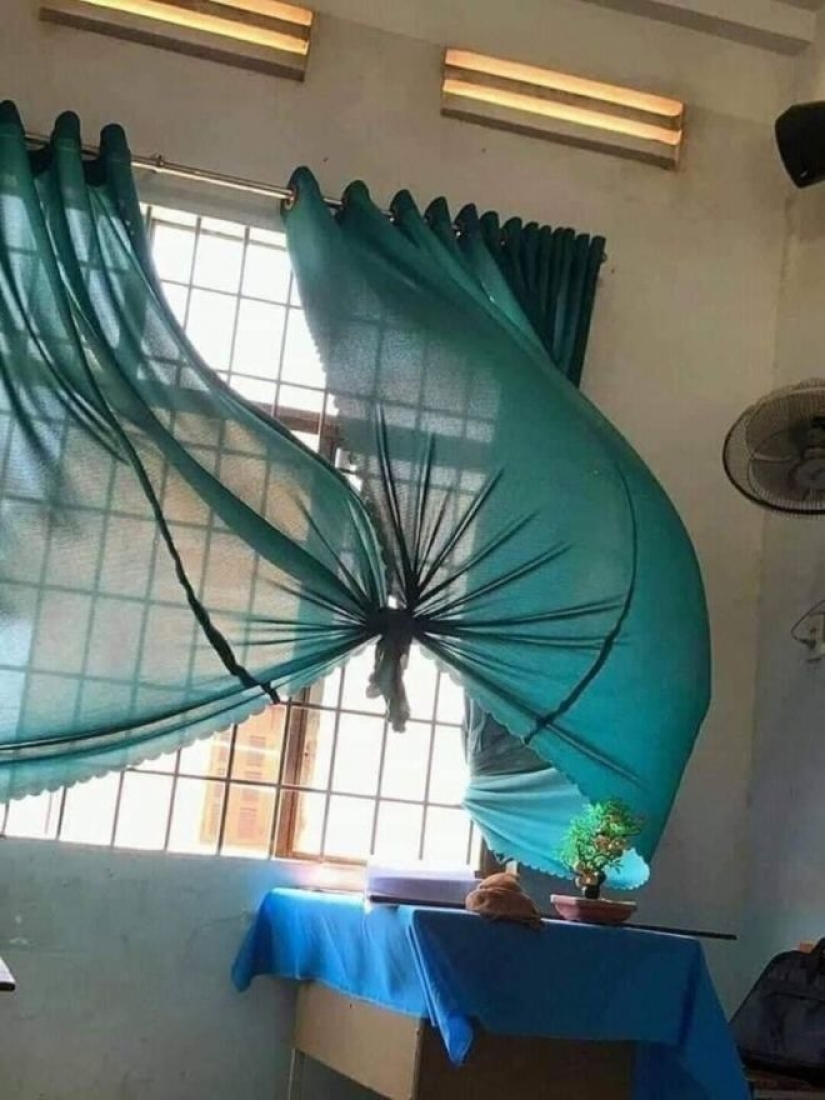 Imagination, what are you doing?! 22 photos that you need to look at several times