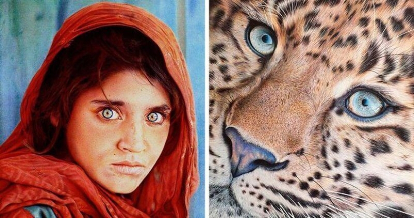 Impresionantes dibujos en bolígrafo de Samuel Silva