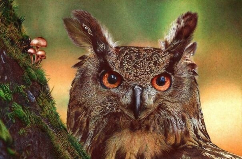 Impresionantes dibujos en bolígrafo de Samuel Silva