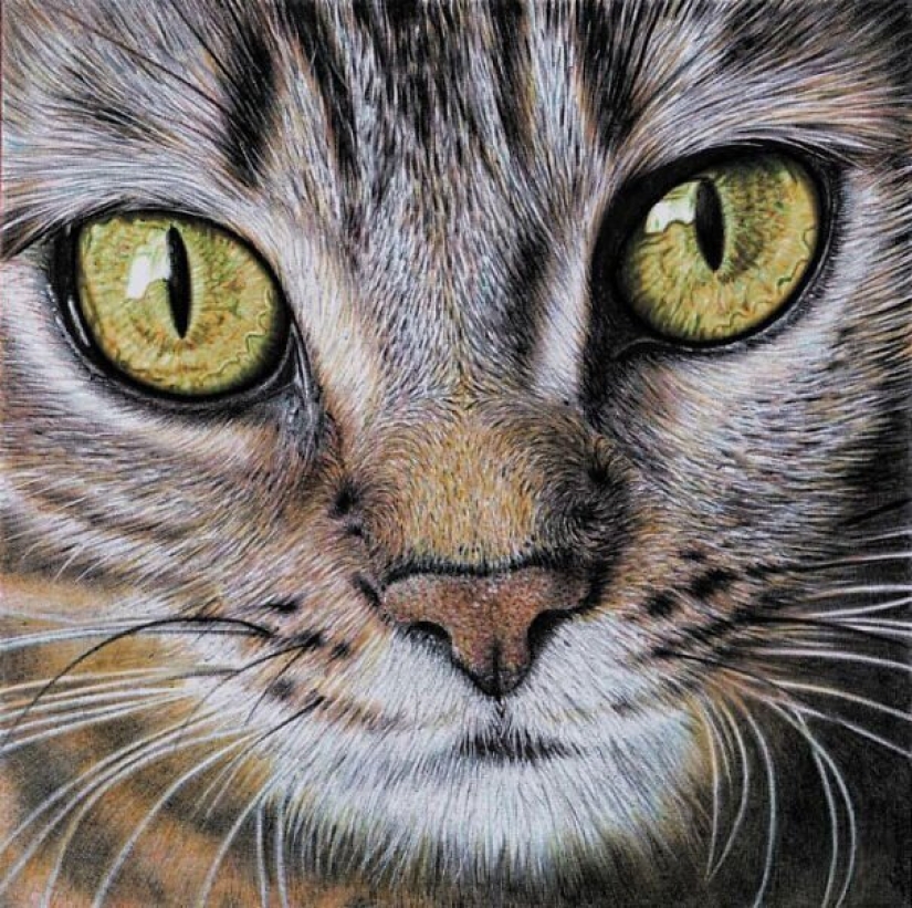 Impresionantes dibujos en bolígrafo de Samuel Silva