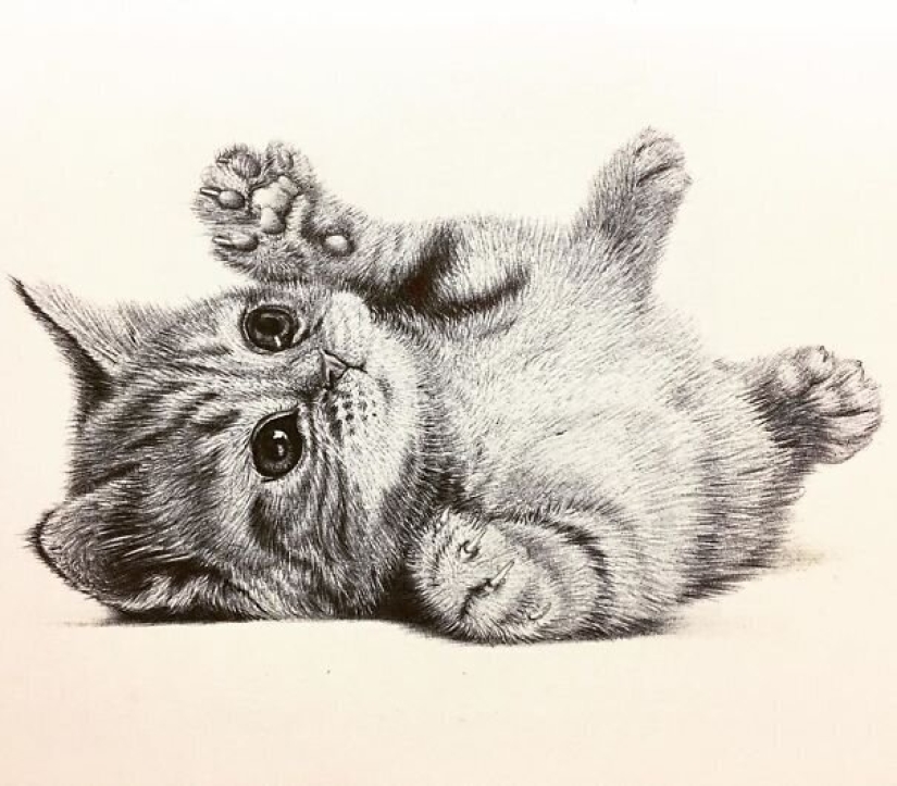 Impresionantes dibujos en bolígrafo de Samuel Silva