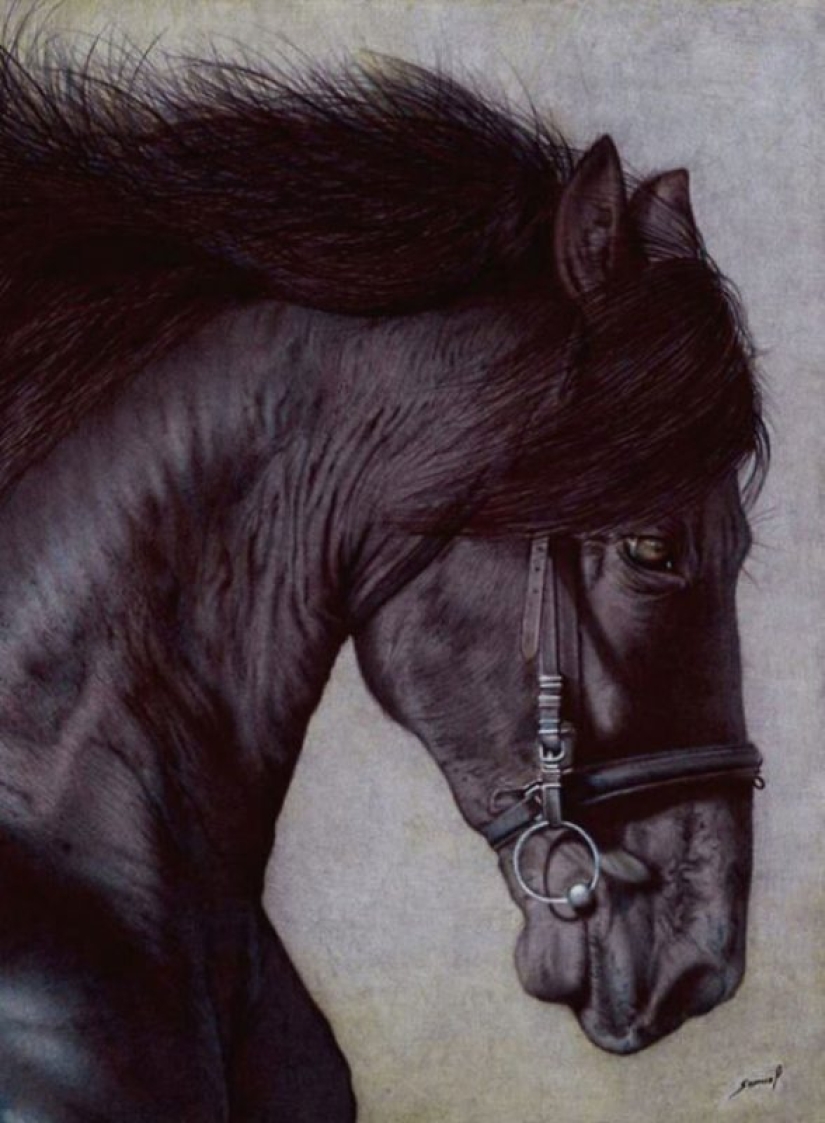 Impresionantes dibujos en bolígrafo de Samuel Silva
