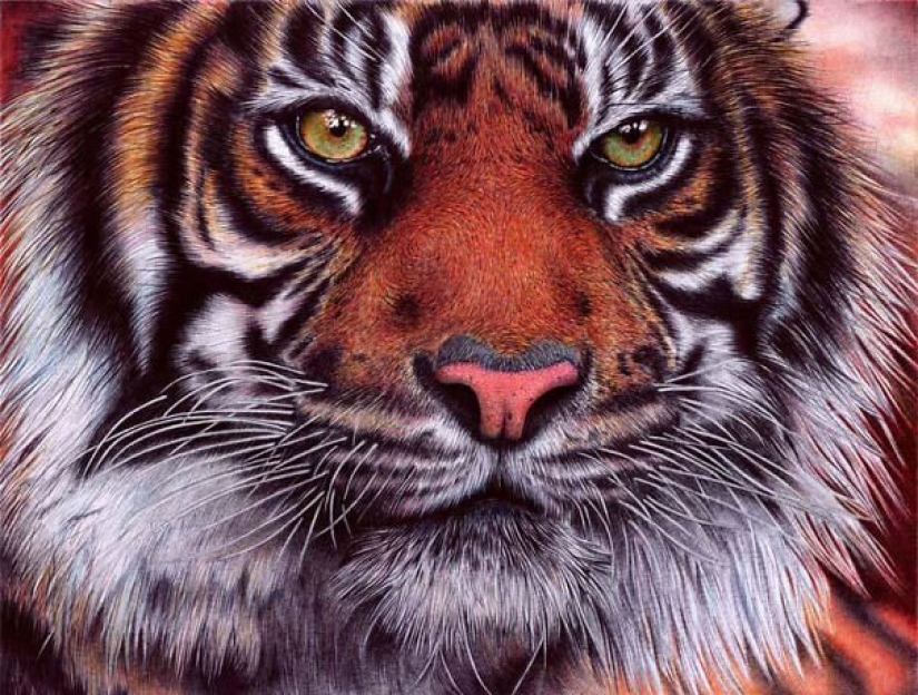 Impresionantes dibujos en bolígrafo de Samuel Silva