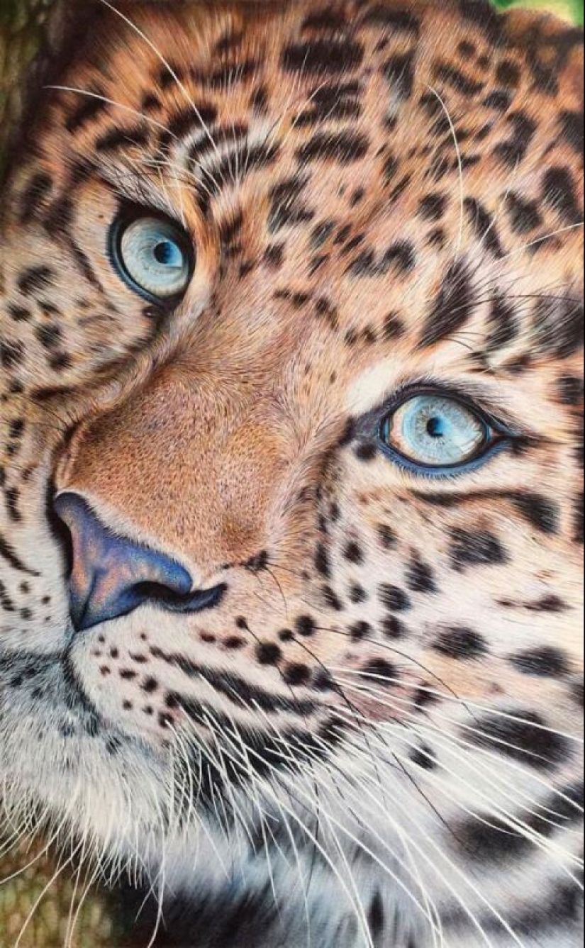 Impresionantes dibujos en bolígrafo de Samuel Silva