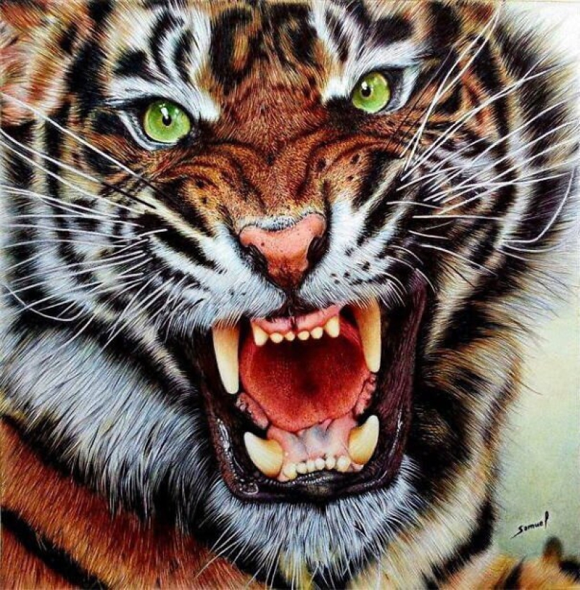 Impresionantes dibujos en bolígrafo de Samuel Silva