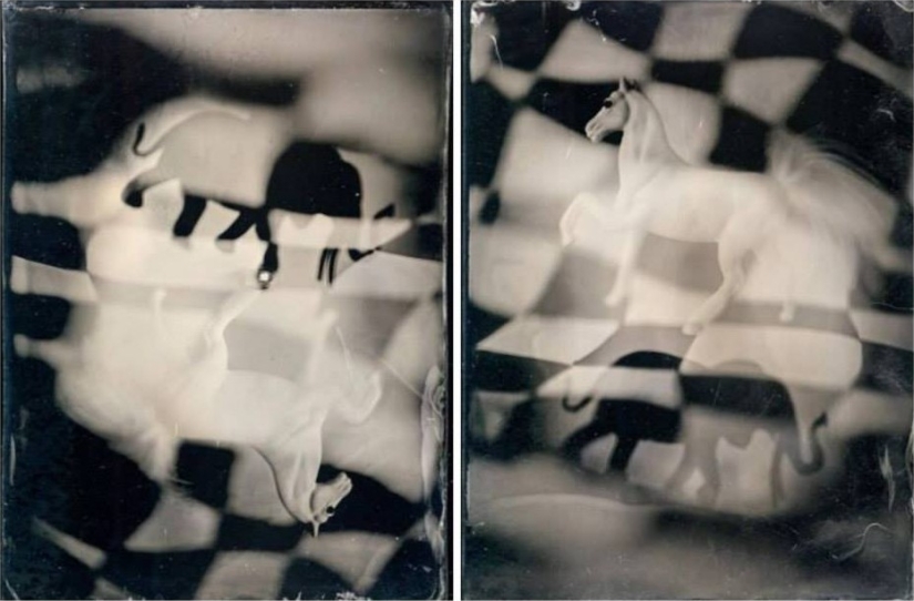 In the fairy world ambrotypes In the fairy world ambrotypes