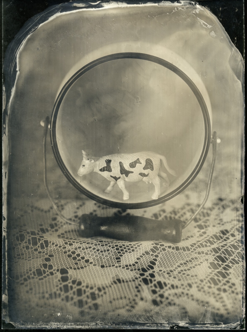 In the fairy world ambrotypes In the fairy world ambrotypes