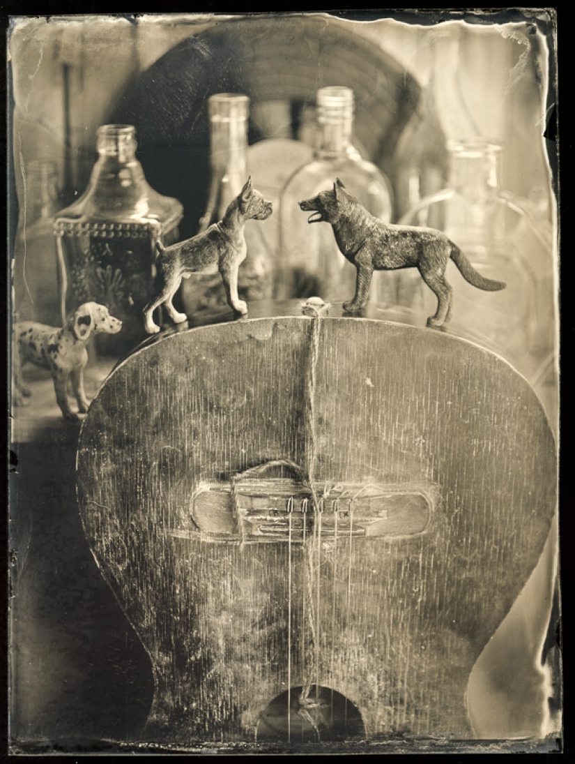 In the fairy world ambrotypes In the fairy world ambrotypes