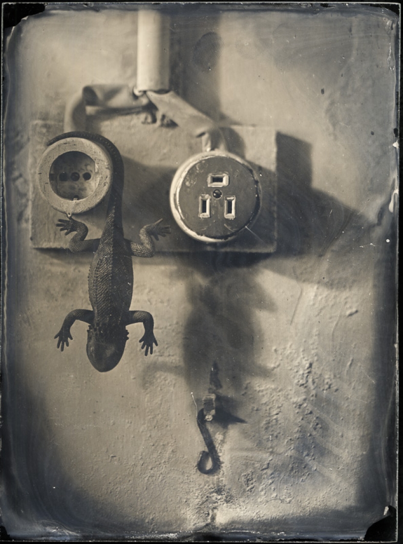In the fairy world ambrotypes In the fairy world ambrotypes