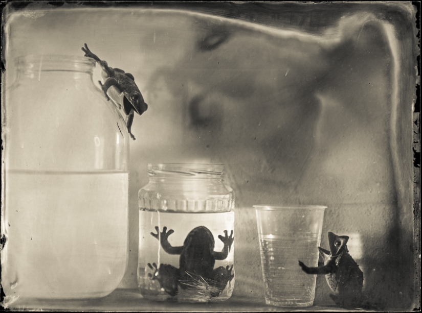 In the fairy world ambrotypes In the fairy world ambrotypes