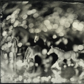 In the fairy world ambrotypes In the fairy world ambrotypes