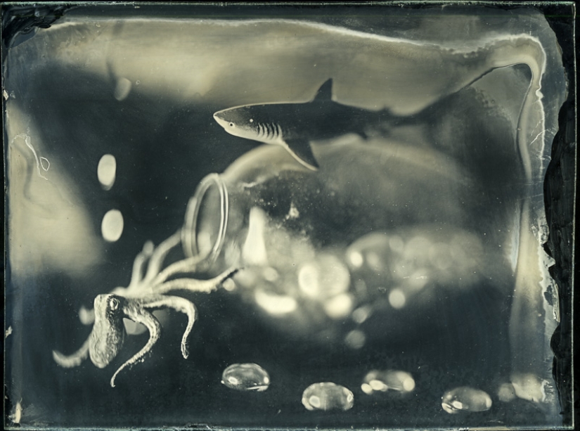 In the fairy world ambrotypes In the fairy world ambrotypes