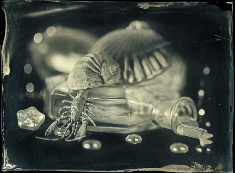 In the fairy world ambrotypes In the fairy world ambrotypes