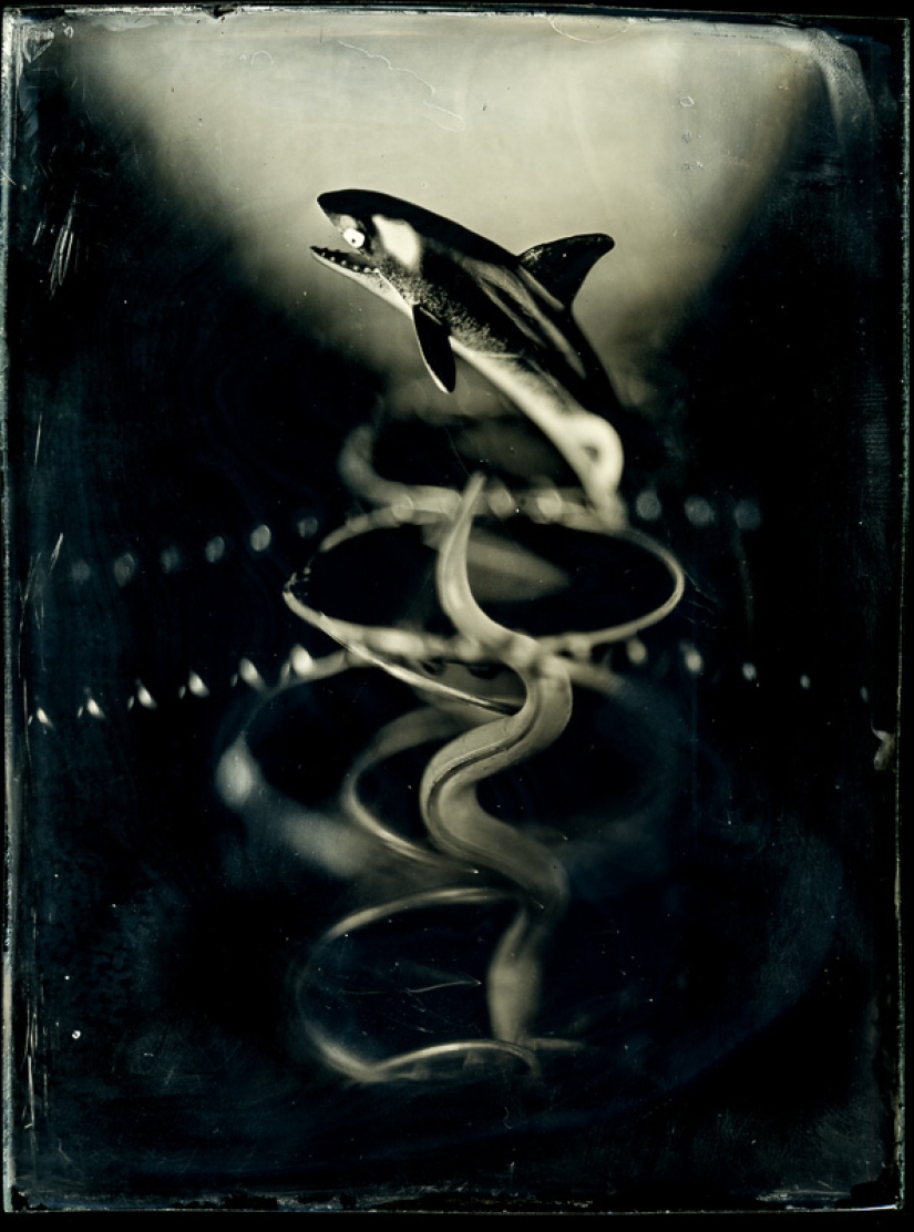 In the fairy world ambrotypes In the fairy world ambrotypes