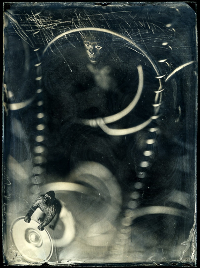 In the fairy world ambrotypes In the fairy world ambrotypes