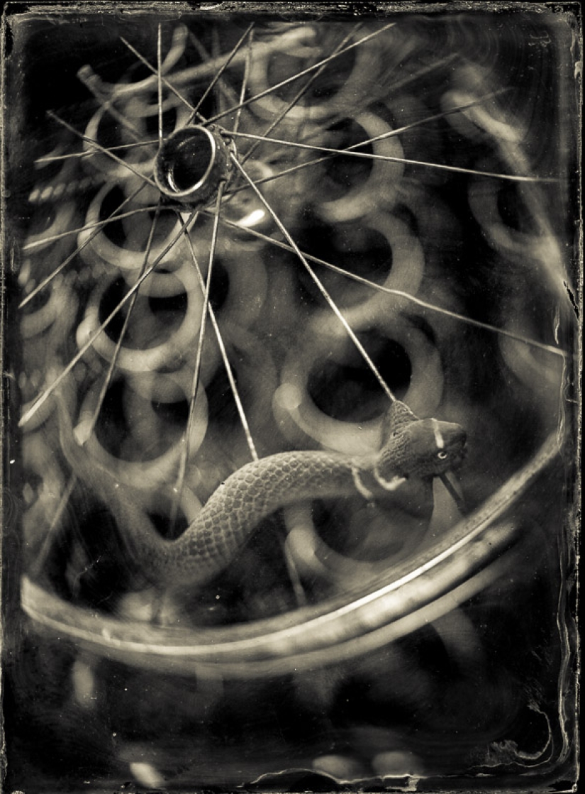 In the fairy world ambrotypes In the fairy world ambrotypes