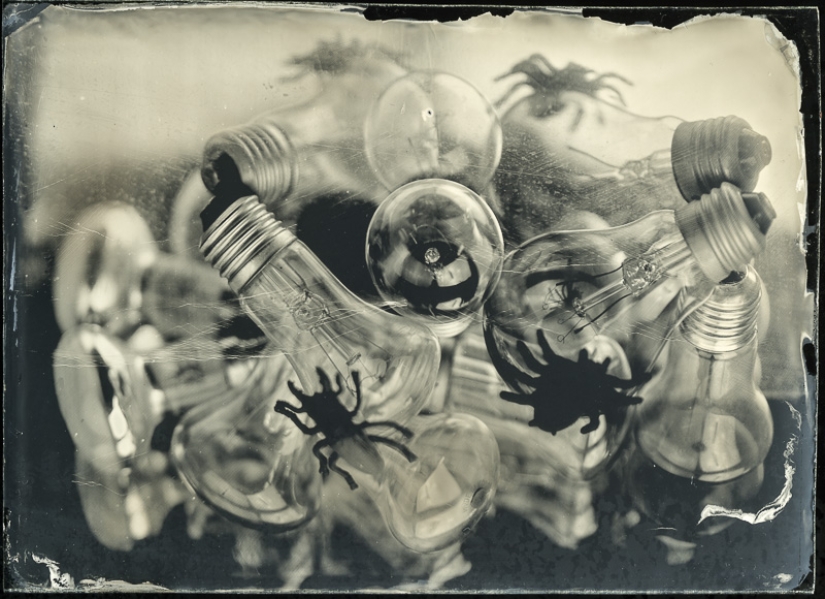 In the fairy world ambrotypes In the fairy world ambrotypes