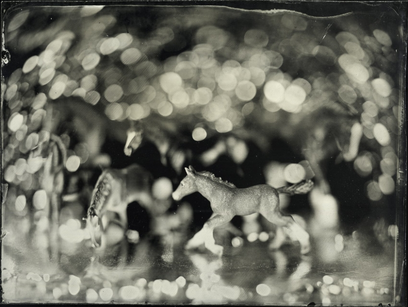 In the fairy world ambrotypes In the fairy world ambrotypes