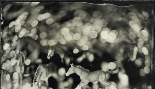 In the fairy world ambrotypes