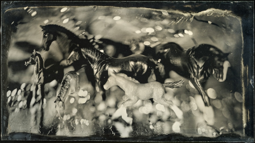 In the fairy world ambrotypes In the fairy world ambrotypes
