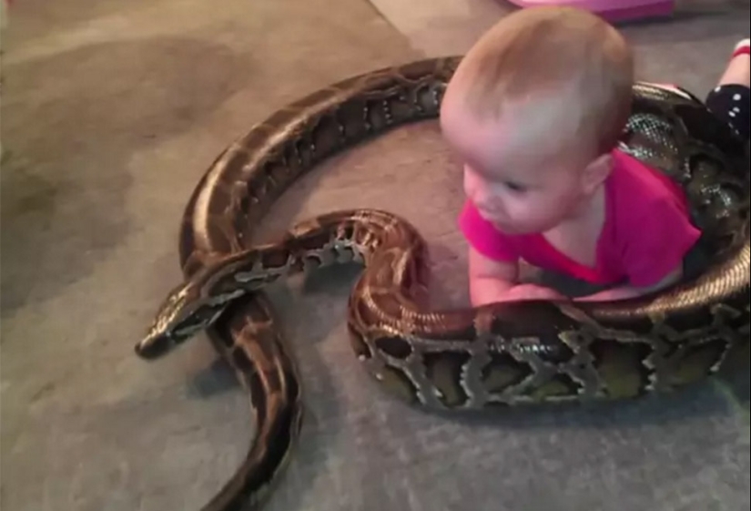 In these photos, some tin is happening In these photos, some tin is happening