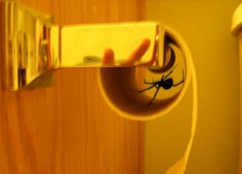 In these photos, some tin is happening In these photos, some tin is happening