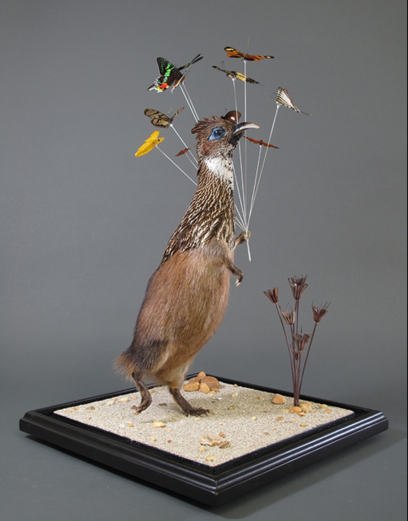 Increíble taxidermia de Enrique Gómez de Molina