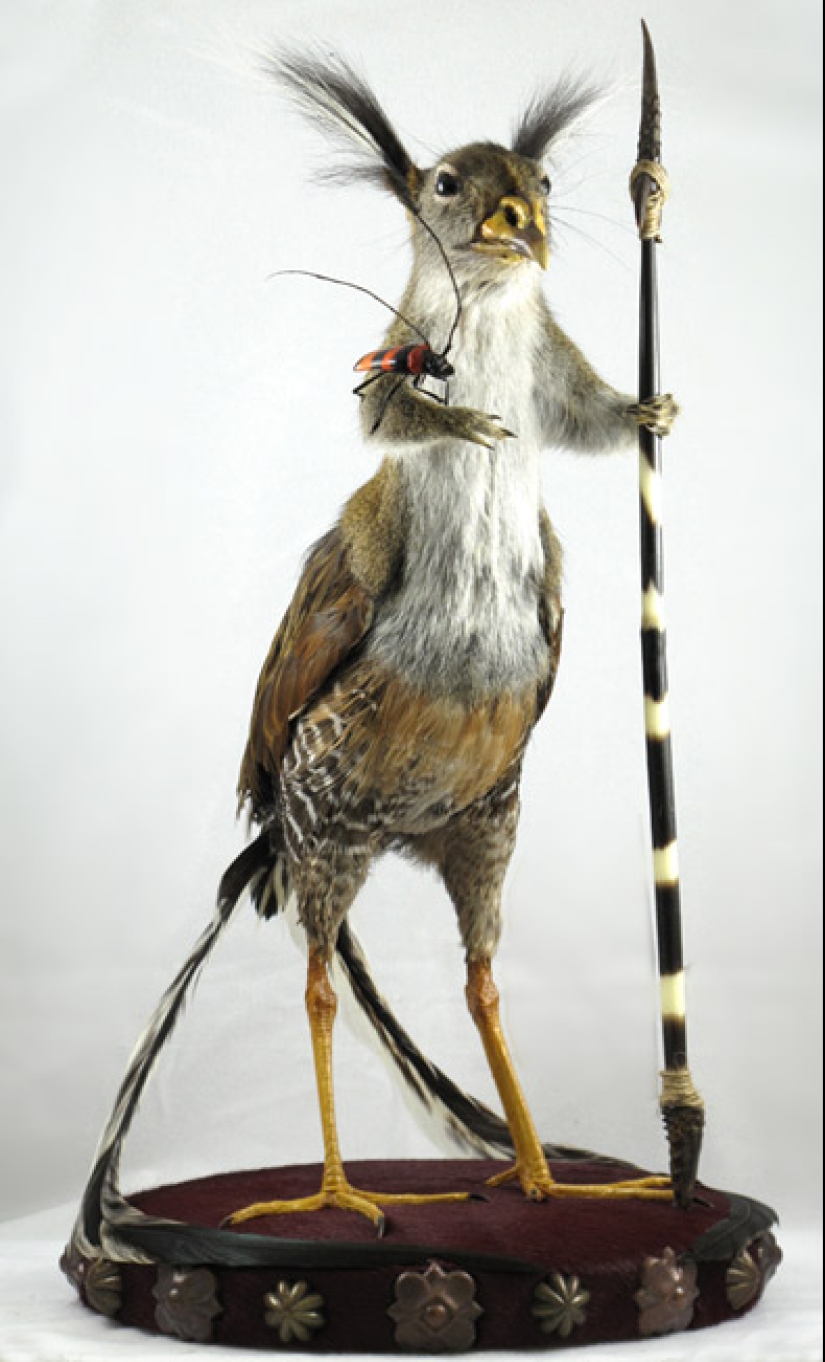 Increíble taxidermia de Enrique Gómez de Molina