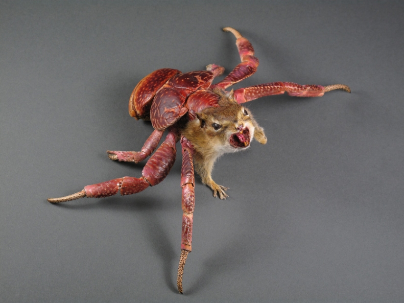 Increíble taxidermia de Enrique Gómez de Molina
