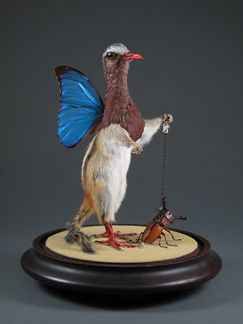Increíble taxidermia de Enrique Gómez de Molina