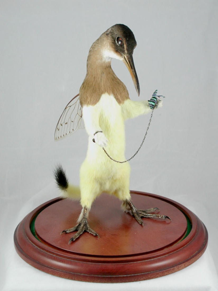 Increíble taxidermia de Enrique Gómez de Molina