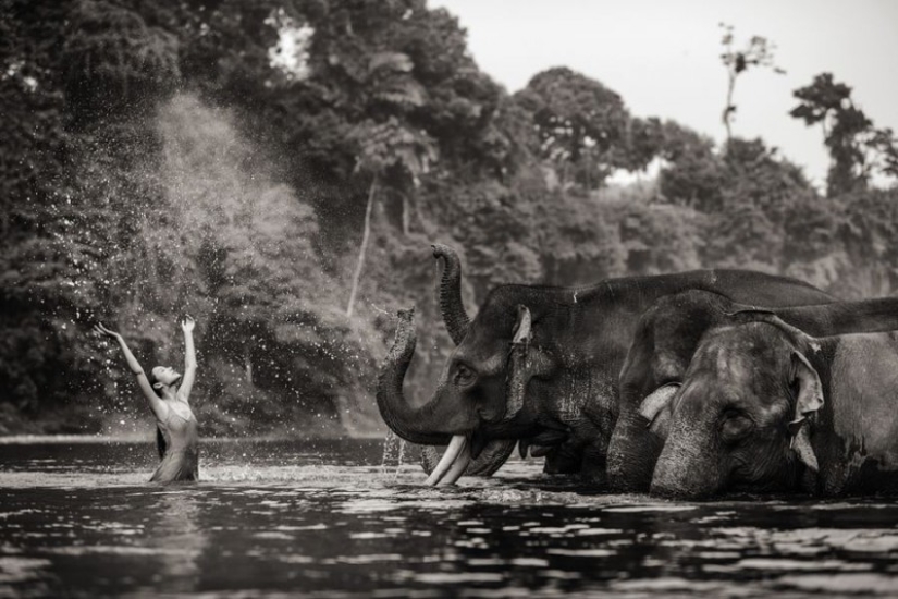 Increíbles retratos de modelos asiáticos y celebridades con animales salvajes