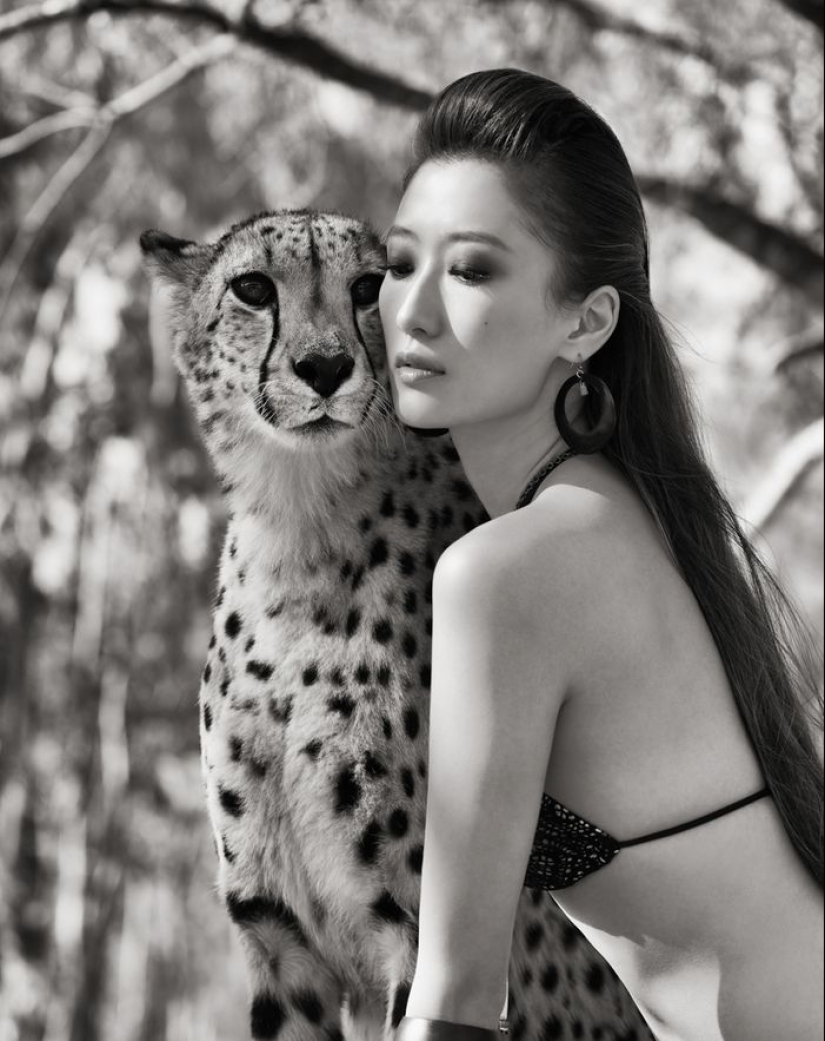 Increíbles retratos de modelos asiáticos y celebridades con animales salvajes