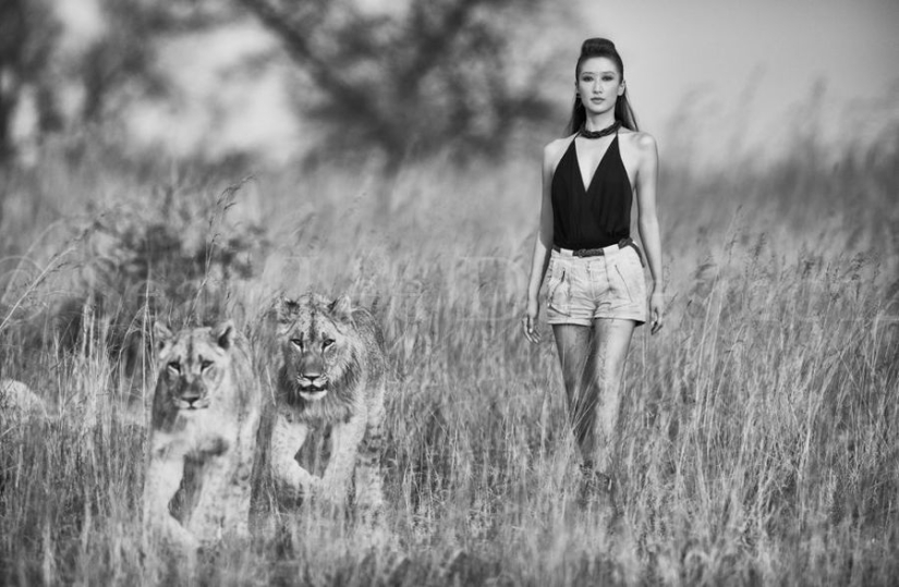 Increíbles retratos de modelos asiáticos y celebridades con animales salvajes