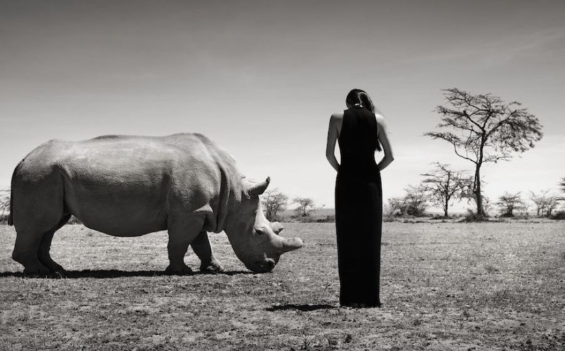 Increíbles retratos de modelos asiáticos y celebridades con animales salvajes