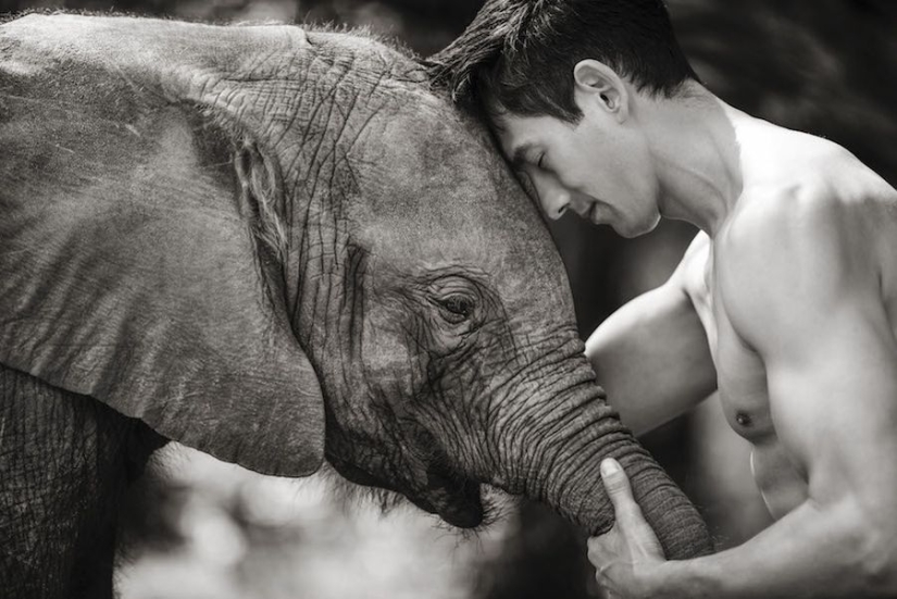 Increíbles retratos de modelos asiáticos y celebridades con animales salvajes