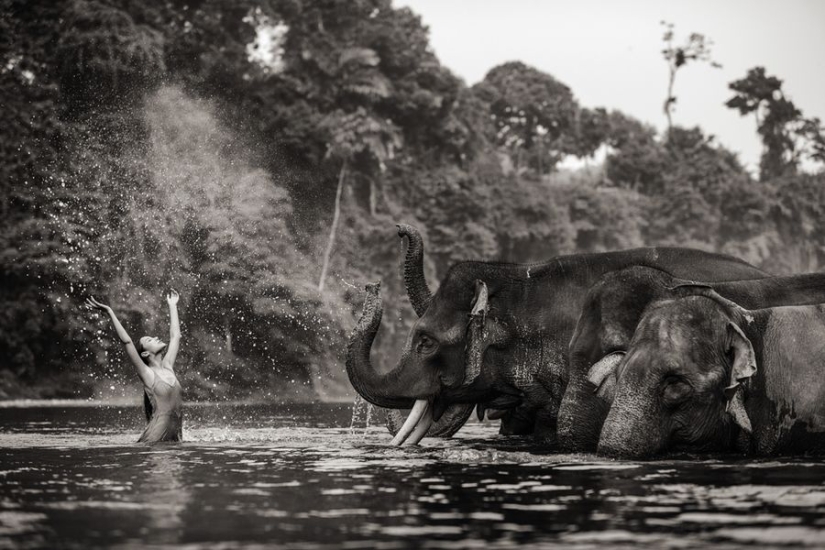 Increíbles retratos de modelos asiáticos y celebridades con animales salvajes