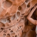 Incredible "Cheese" rocks — a miracle of nature on the Crimean coast Incredible "Cheese" rocks — a miracle of nature on the Crimean coast