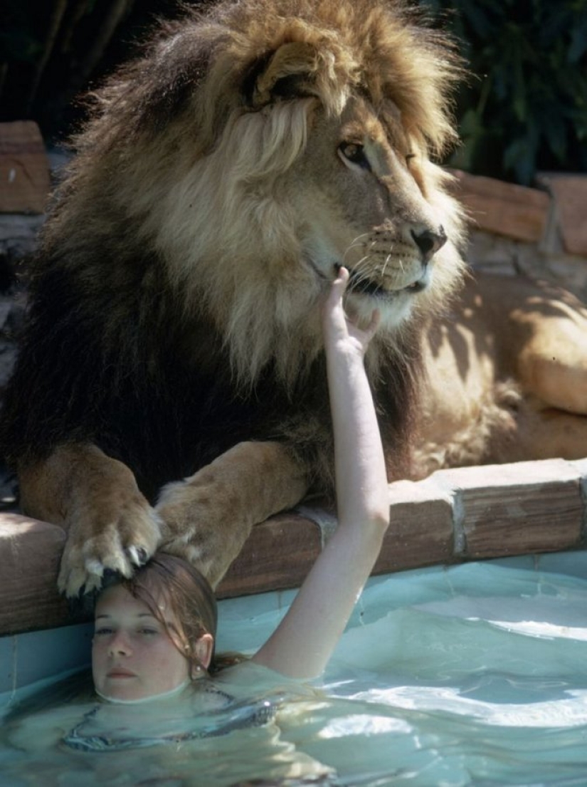 Incredible photos from the 70s: Melanie Griffith and Lev Neil