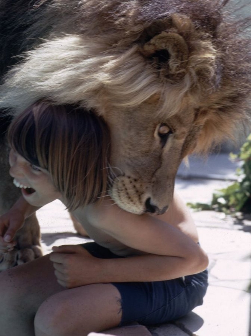 Incredible photos from the 70s: Melanie Griffith and Lev Neil