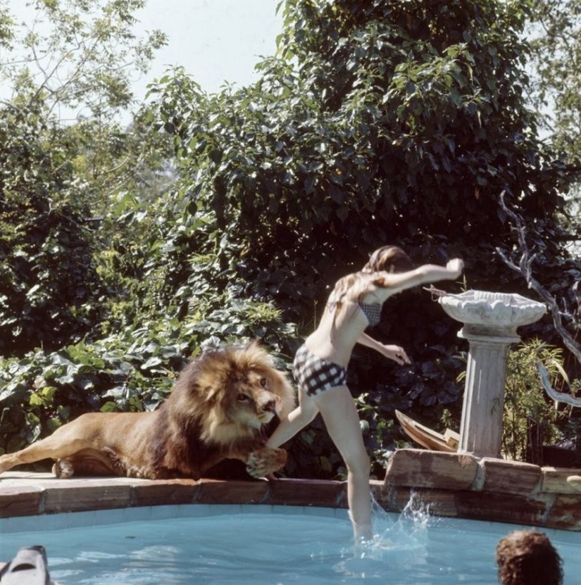 Incredible photos from the 70s: Melanie Griffith and Lev Neil