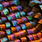 Incredible world under the microscope: 22 photos that will make you see everything in a new way Incredible world under the microscope: 22 photos that will make you see everything in a new way