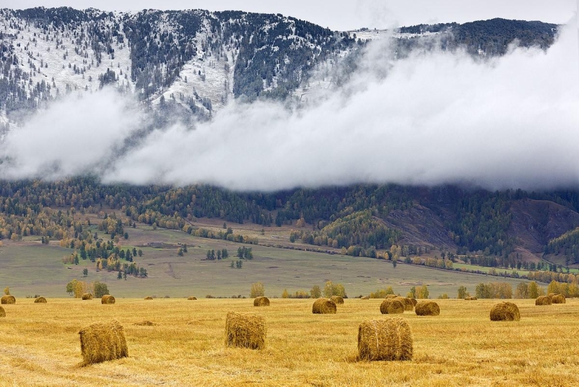 Incredibly beautiful pictures, after seeing that you will want to Altai